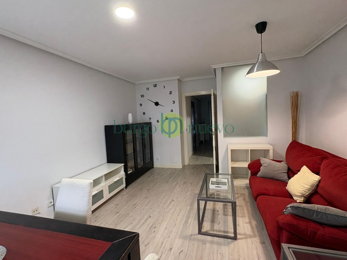Vivienda amueblada zona centro - Foto 5