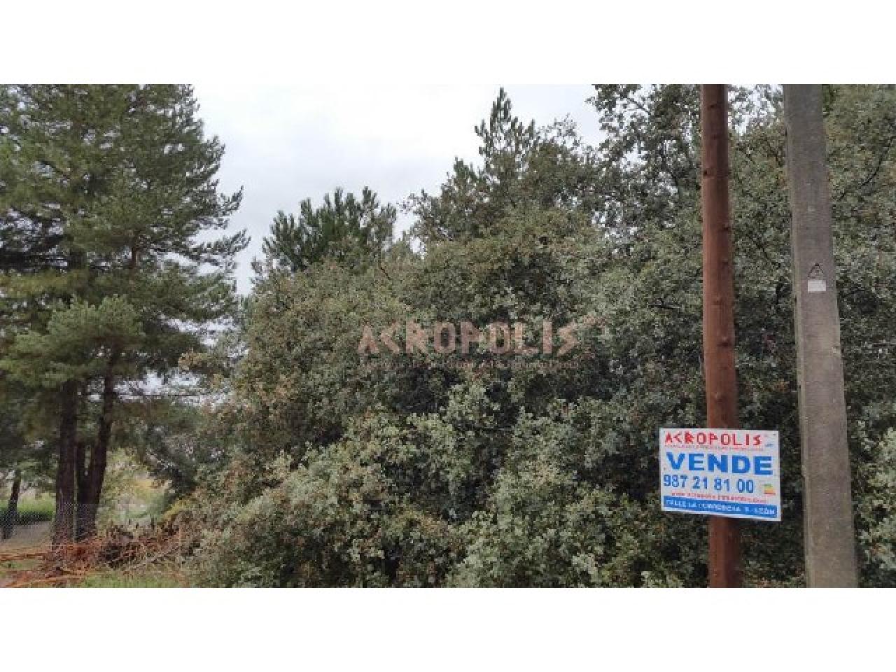 VENTA DE SOLAR EN VALDEFRESNO