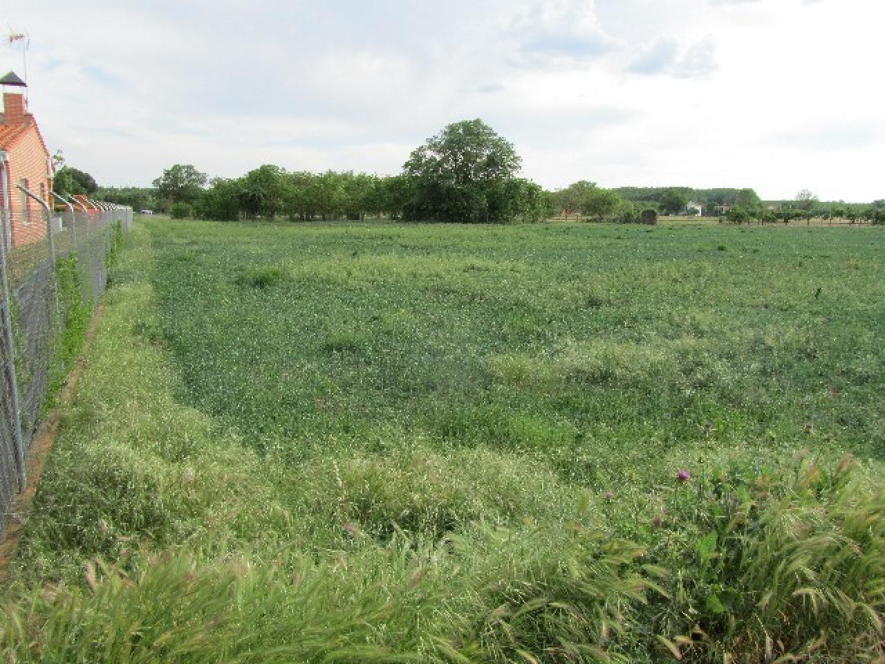 VENTA DE SUELO RUSTICO EN EL TAMARAL, BENAVENTE