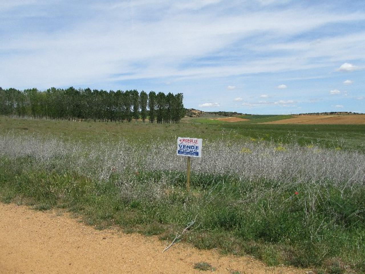 VENTA DE SUELO EN QUIRUELAS DE VIDRIALES, ZAMORA