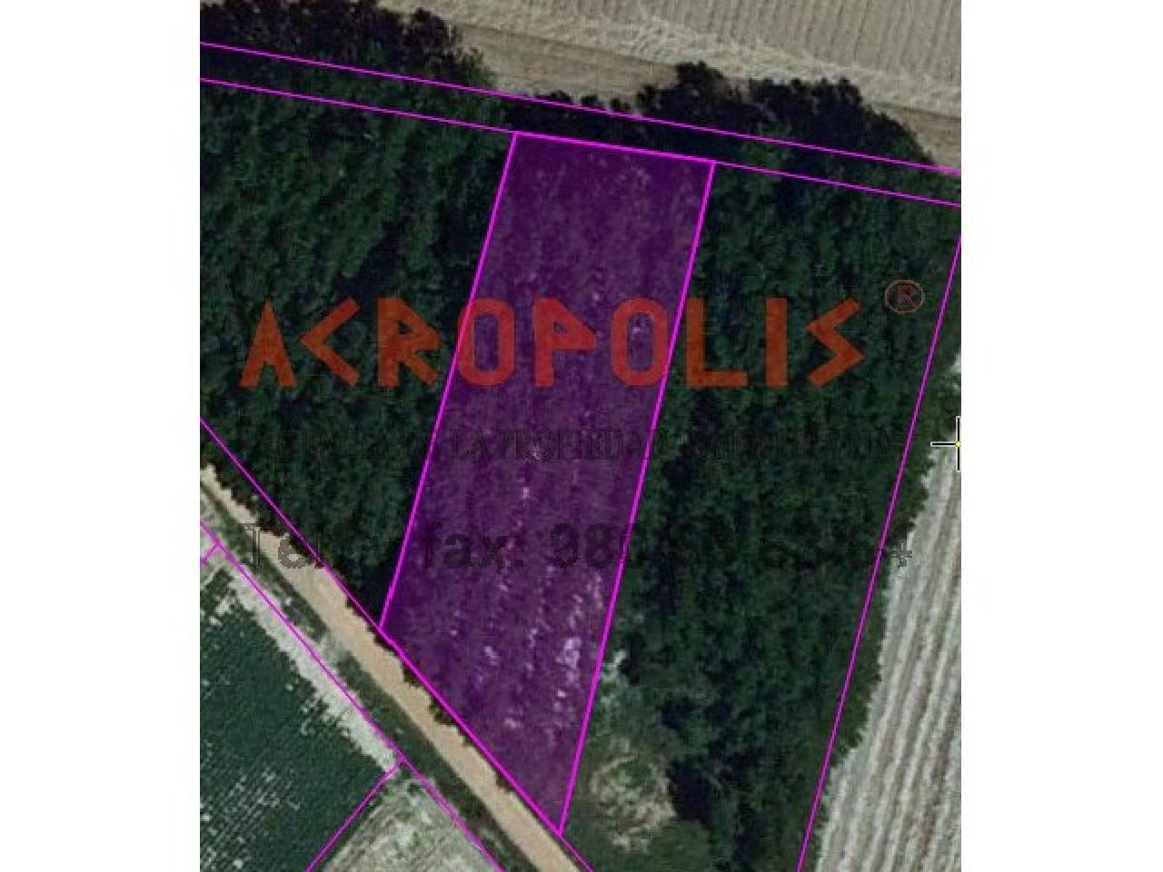 VENTA DE FINCA EN QUIRUELAS DE VIDRIALES, ZAMORA