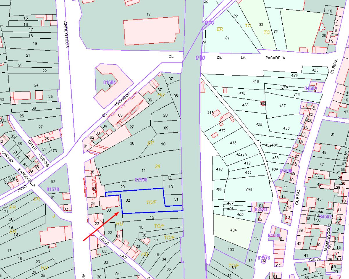 VENTA DE SOLAR EN SAN ANDRES DEL RABANEDO