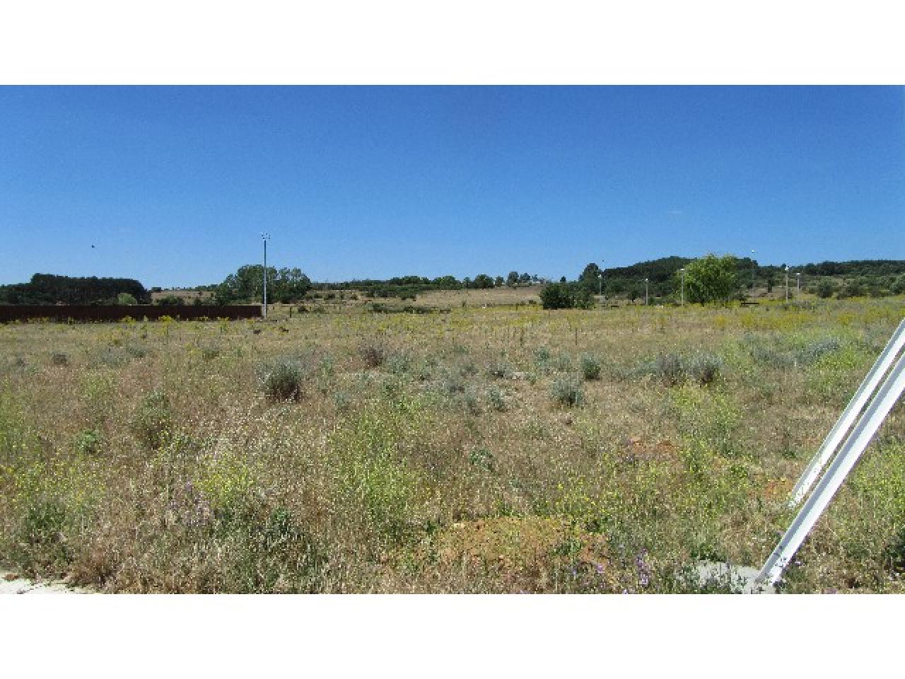 VENTA DE PARCELA EN MORALES DEL REY, ZAMORA