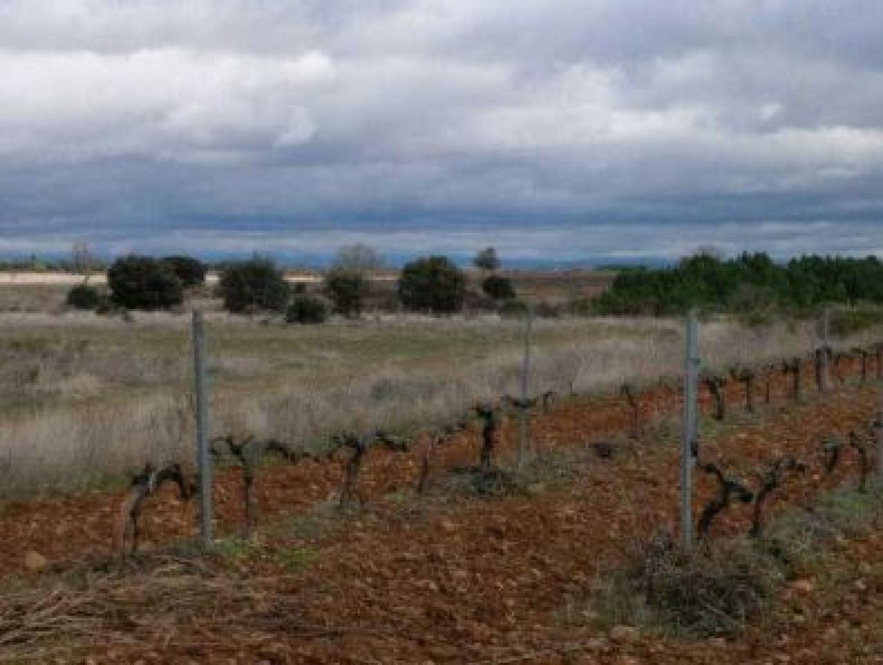 VENTA DE SOLAR EN CHOZAS DE ABAJO