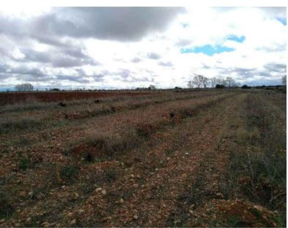 VENTA DE SOLAR EN CHOZAS DE ABAJO