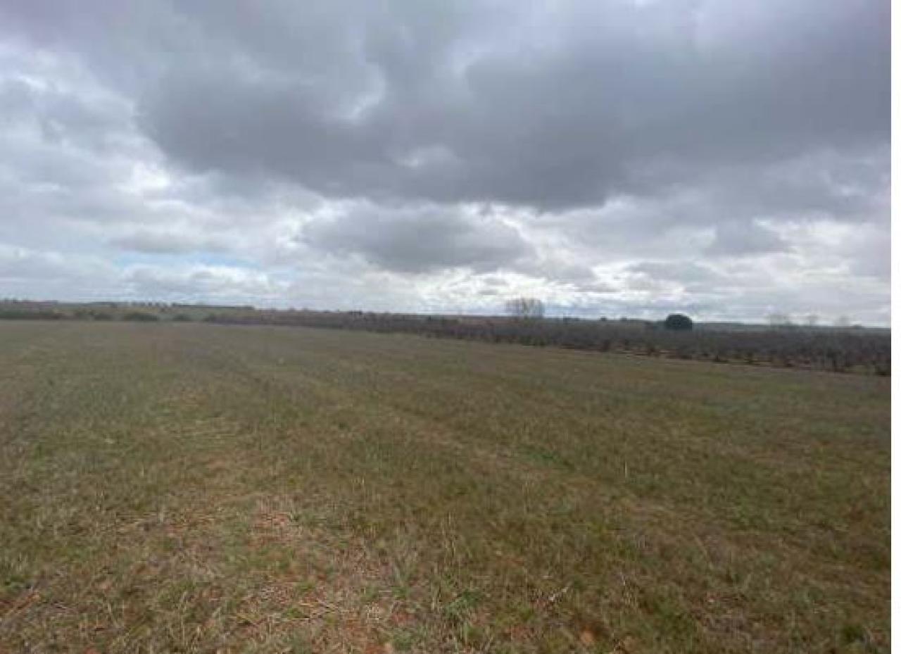 FINCA RUSTICA EN CHOZAS DE ABAJO