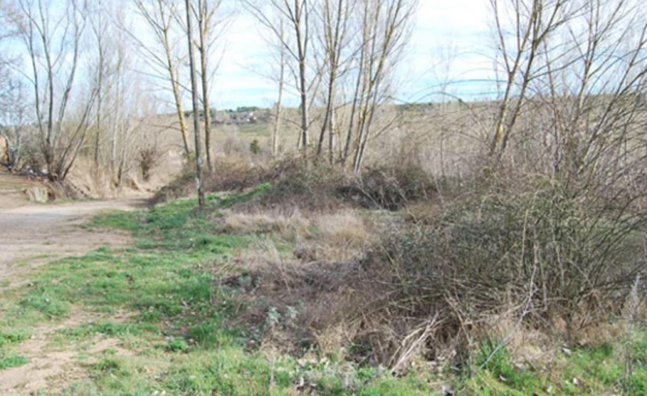 VENTA DE SOLAR EN SAN ANDRES DEL RABANEDO