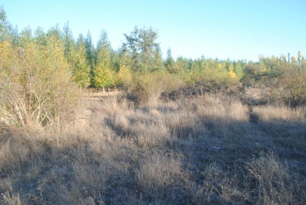 VENTA DE SOLAR EN VEGA DE TERA