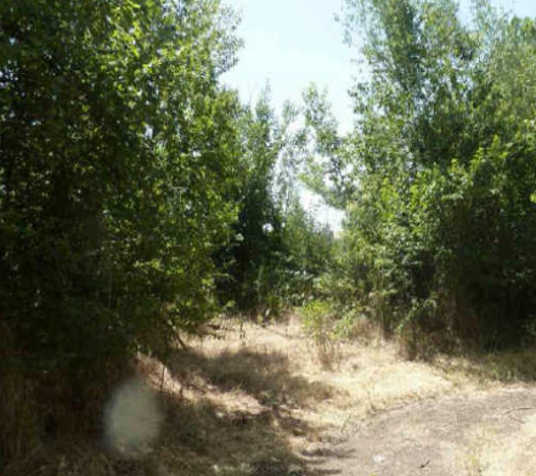 SOLAR EN VENTA EN SAN ANDRES DEL RABANEDO, LEON.