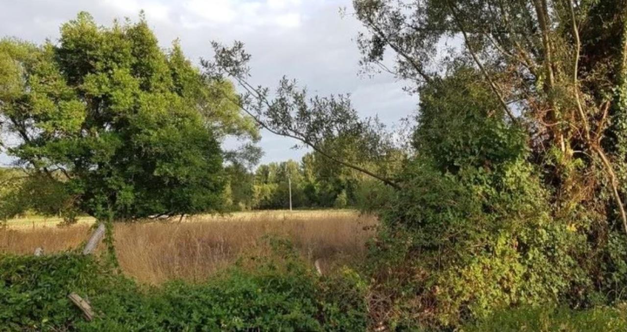 VENTA DE SOLAR EN VILLAQUILAMBRE