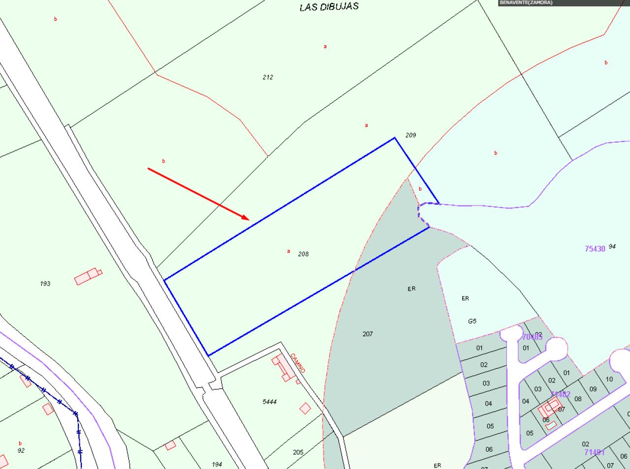 Solar en Polígono 501 Parcela 208 LAS DIBUJAS. BENAVENTE (ZAMORA) (Benavente)