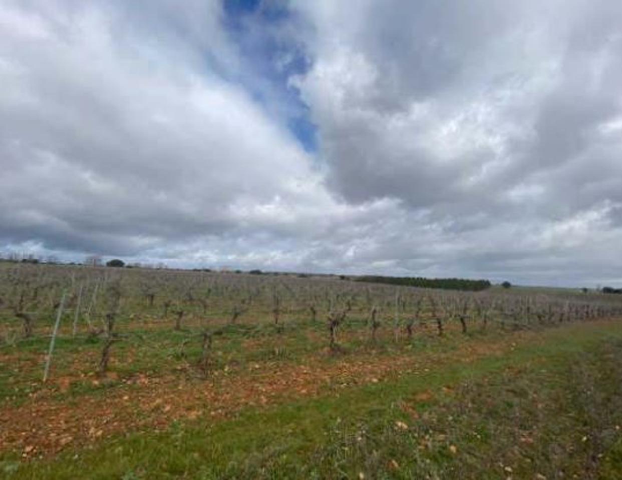VENTA DE SOLAR EN CHOZAS DE ABAJO