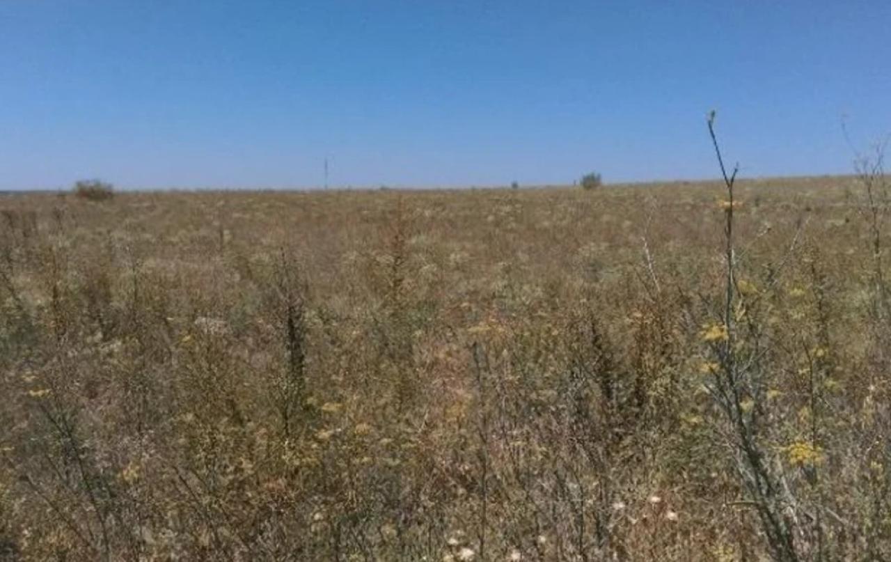 VENTA DE SOLAR EN ZAMORA