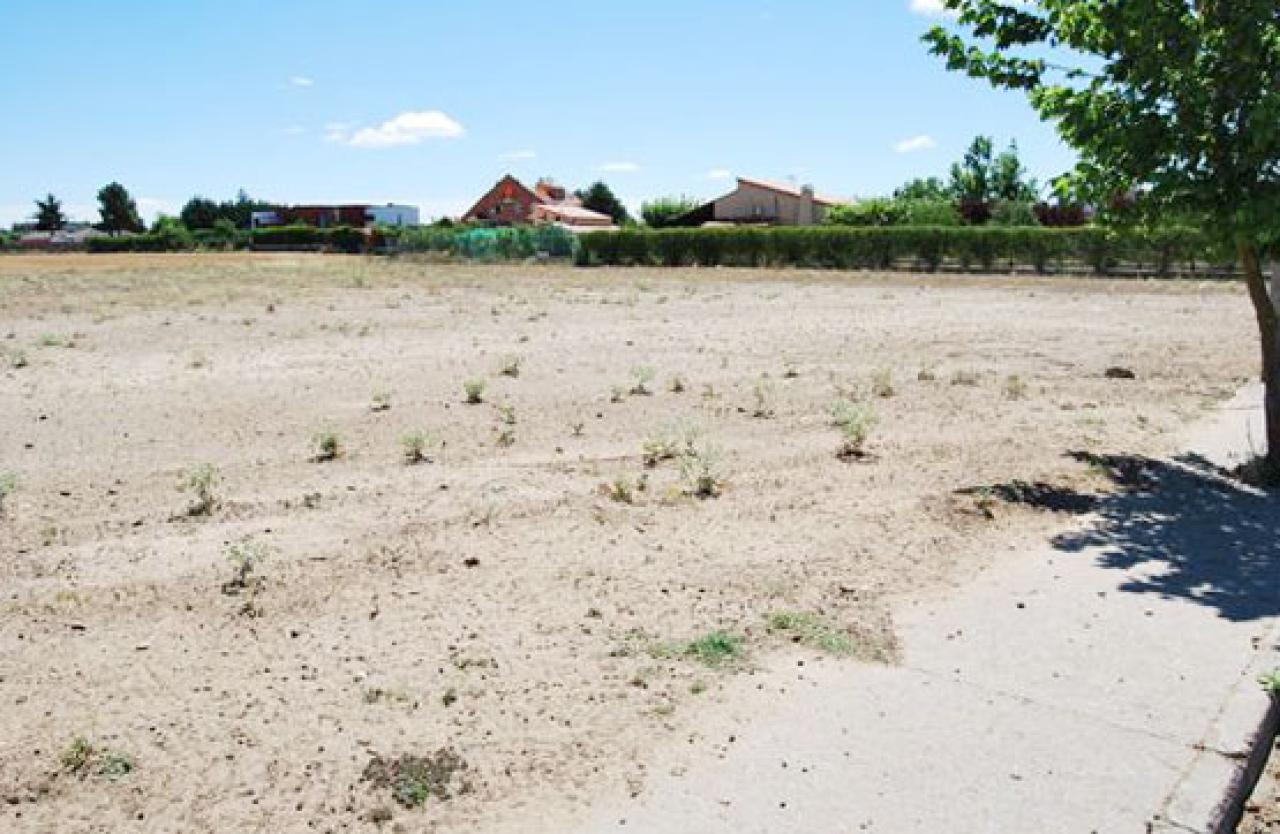 VENTA DE SOLAR EN VILLARALBO