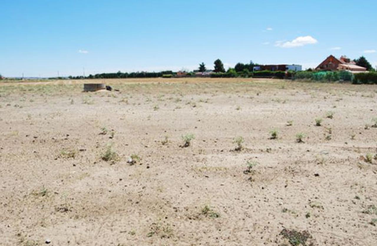 VENTA DE SOLAR EN VILLARALBO