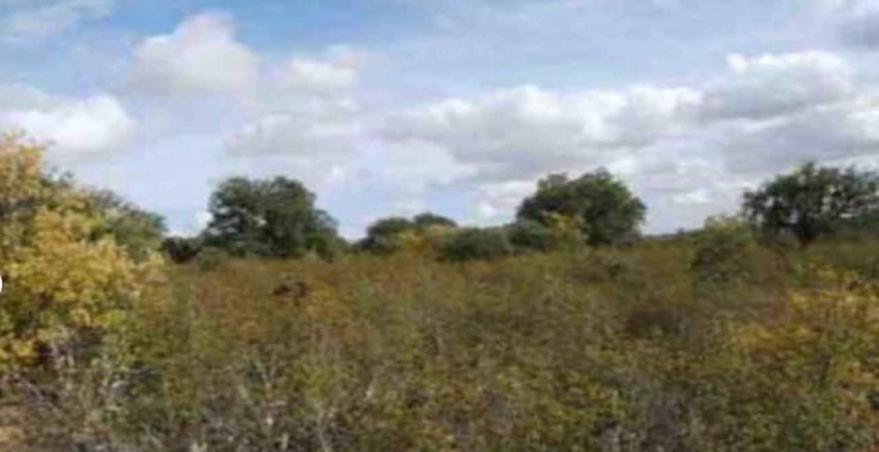 VENTA DE SOLAR EN CORRALES